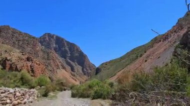 Tacikistan 'ın dağlık kesimlerinde bir gezi. İnanılmaz doğa, kayalar, dağlar ve tepeler. Sert yaz manzarası. Yamaçlar ağaçlarla kaplı ve gökyüzü parlak ve berrak..