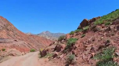 Arabayla dağlık arazide bir yürüyüş. Sarı çiçekli toprak bir yolu olan harika bir dağ sırası. Yol kayalık ve engebeli.