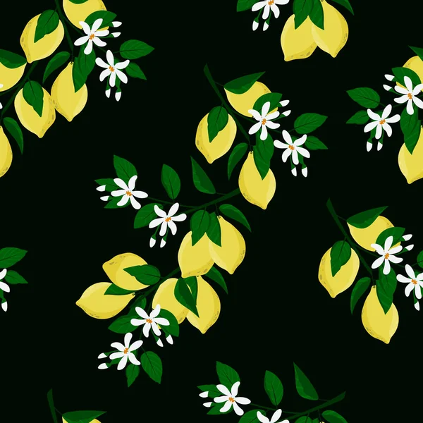 Modèle sans couture citron. Fond floral d'été — Image vectorielle