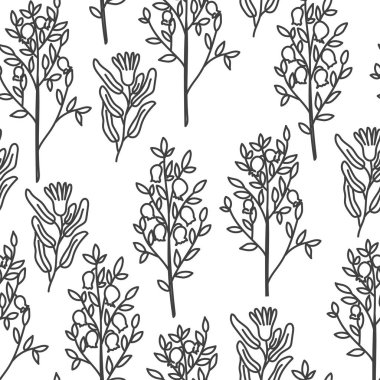 Nar çiçeği ve dal dikişsiz desen el çizilmiş doodle tarzı arka plan. Siyah beyaz