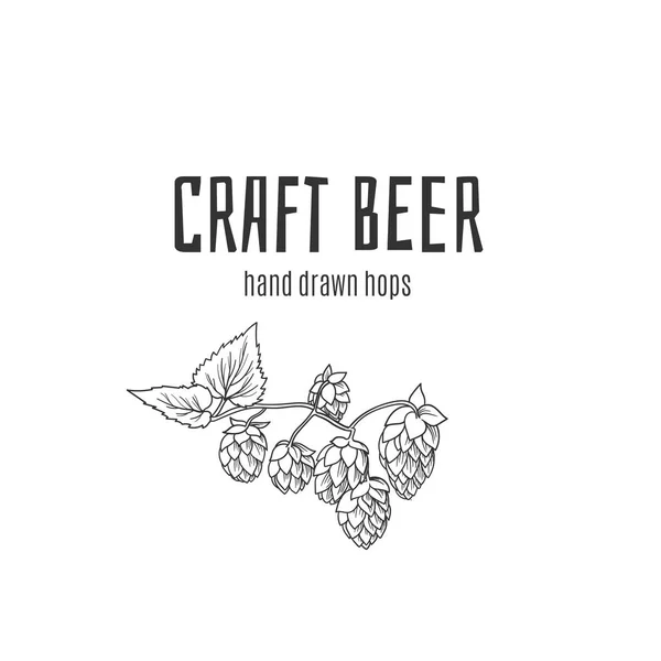 Craft Beer Hopfen handgezeichnetes Logo für Etikett, Poster, Banner usw.. — Stockvektor