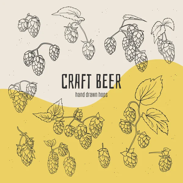 Craft Beer handgezeichnete Doodle Style Hopfen Kollektion. — Stockvektor