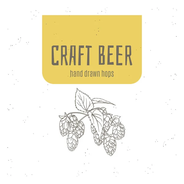 Craft Beer Hopfen handgezeichnetes Logo, Poster, Flyer, Banner usw.. — Stockvektor