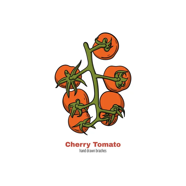 Cherry tomat handritade gren. Doodle stil Cartoon Concept vektor illustration för logotyp, tryck, banner, Flyer, Festival affisch etc. — Stock vektor