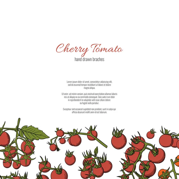 Cherry tomat grenar handritade tecknad Doodle stil sidmall. — Stock vektor