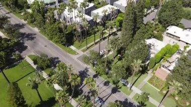 Gökyüzüne tepeden bakan palmiye ağaçları, mahalle evleri, güneşli bir gün, Los Angeles, İHA