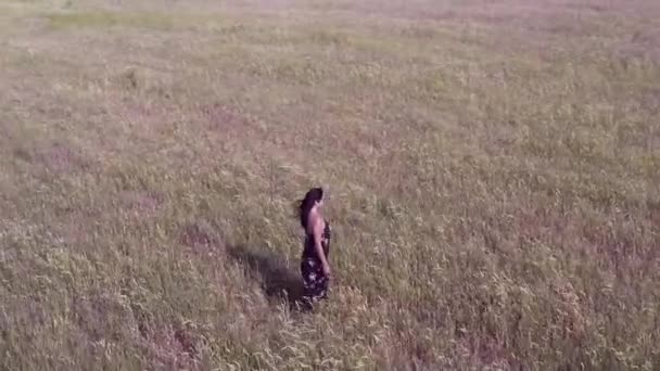 Çim tarlasında tek başına yürüyen bir kadın, elini saçlarının arasına sok, hava yörüngesi görüntüsü... — Stok video