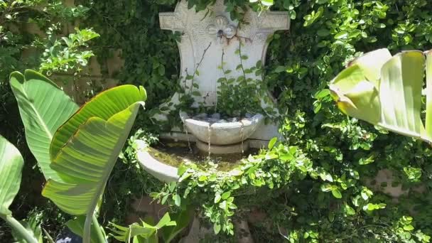 Heiterer Brunnen im schönen grünen Garten an einem Sommertag — Stockvideo