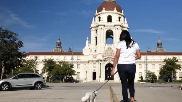カリフォルニア州パサデナ市役所の前で犬を散歩している女性 — ストック動画