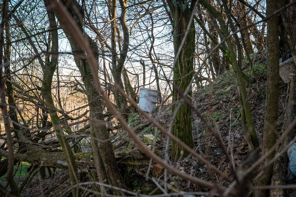 Bucket Other Garbage Left Nature — Stock Photo, Image