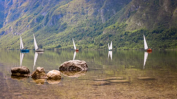 Sailboats Having Race Slovenian Lake — Stock Photo, Image