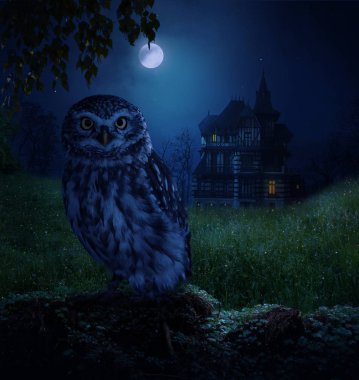 Photomanipulation. Bir ev içinde belgili tanımlık geçmiş mehtaplı bir gecede bir alanda yalnız baykuş
