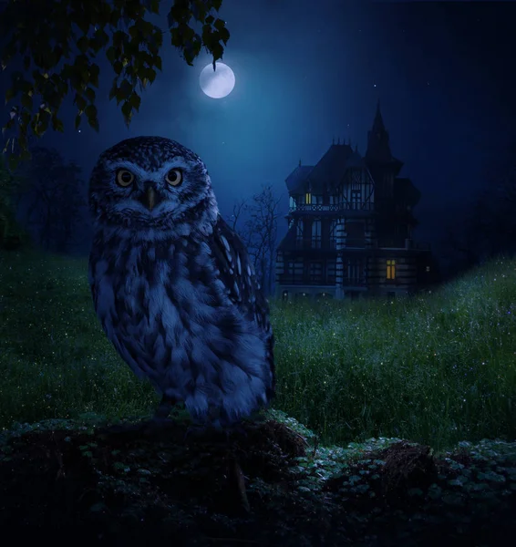 Photomanipulation 孤独的猫头鹰在一个充满月光的夜晚的背景下的房子的领域 — 图库照片