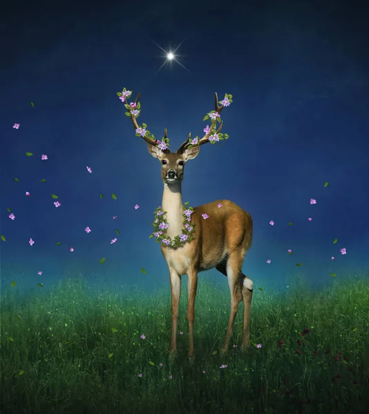 可爱的鹿与花在他的角在晚上与一颗星星照亮他 照片操纵 — 图库照片