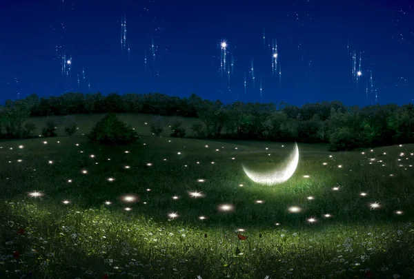 Fantasy scene of a landscape with stars and moon lying on the field. Photo manipulation. Illustration. 3D.