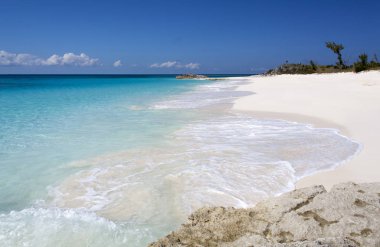 Boş sahilde ıssız ada Half Moon Cay (Bahamalar). 