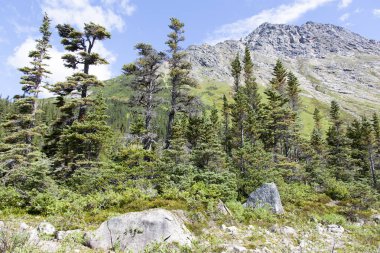 Üst Dewey göl alanı 945 metre deniz seviyesinden (Skagway, Alaska doğal peyzaj).