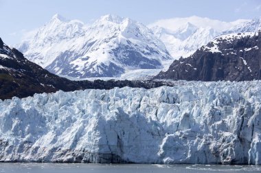 Glacier Bay Milli Parkı (Alaska bir buzul doğal görünümünü).
