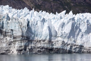Glacier Bay Milli Parkı (Alaska bir buzul kenarına).