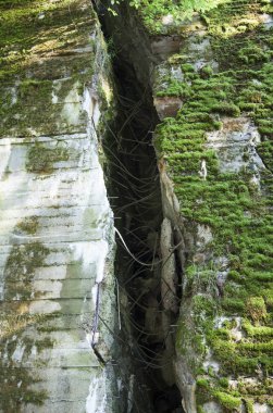 Patlamadan sonra iki metre kalın duvar boşluğu Polonya'nın ormanda kurt ini ni inşa Hitler'in sığınağı.