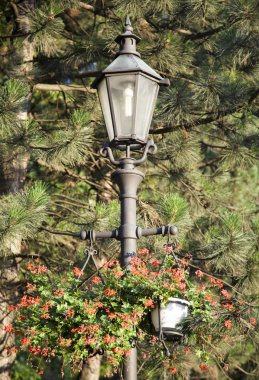 Wieliczka eski şehir elektrik direği günbatımı ışık (Polonya çiçeklerle görünümü Kapat).