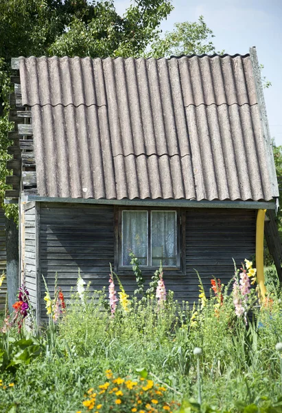 Kleine Houten Huis Omringd Door Bloemen Litouwse Dorp — Stockfoto