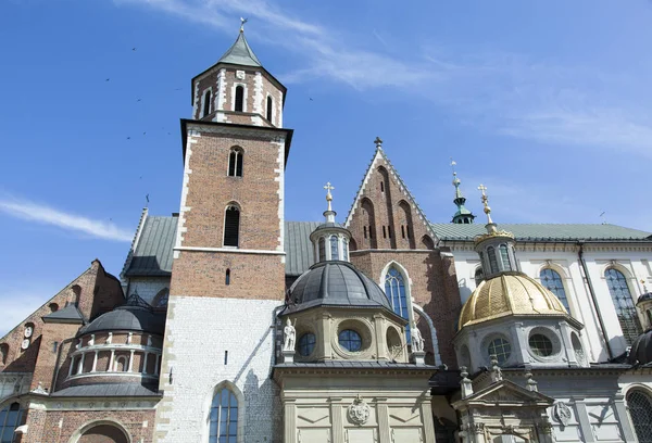 Die Wawel Kathedrale Aus Dem Jahrhundert Ist Ein Ort Dem — Stockfoto