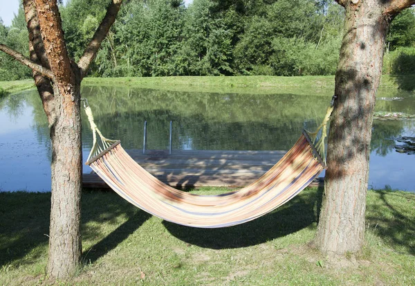 Pines Litvanyalı köyde yapay gölet tarafından arasında asılı hamak.