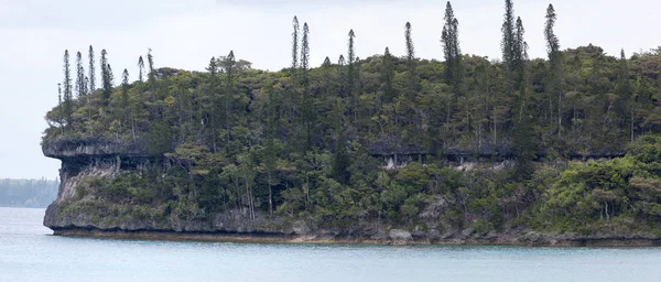 Vista Panorâmica Ilha Lifou Erodiu Costa Íngreme Nova Caledônia — Fotografia de Stock