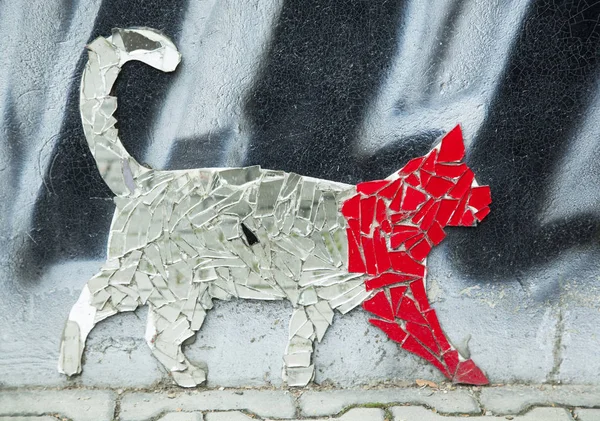 Zakopane tatil beldesi (Polonya bir sokakta bir dış ayna parçalarını yapılan kedi).