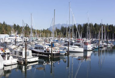 Vancouver downtown marina sabahları sakin bir arka plan (British Columbia içinde Stanley park manzaralı).