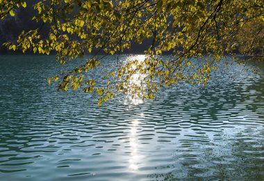 Sabah güneş ışığı yansımaları Plitvice Gölleri Milli Parkı (Hırvatistan ağacında altında).