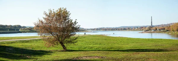 Panoramik Kaunas Eski Şehir Parkında Litvanya Iki Büyük Nehir Izdiham — Stok fotoğraf