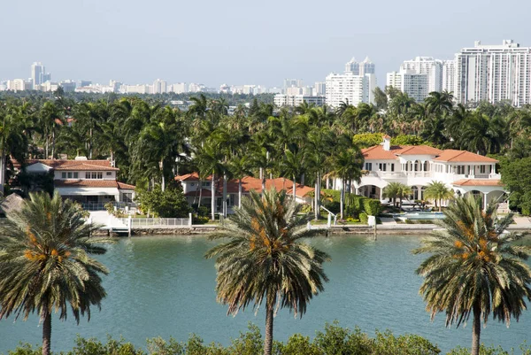 Vista Través Palmeras Del Distrito Residencial Palm Island Miami Florida — Foto de Stock
