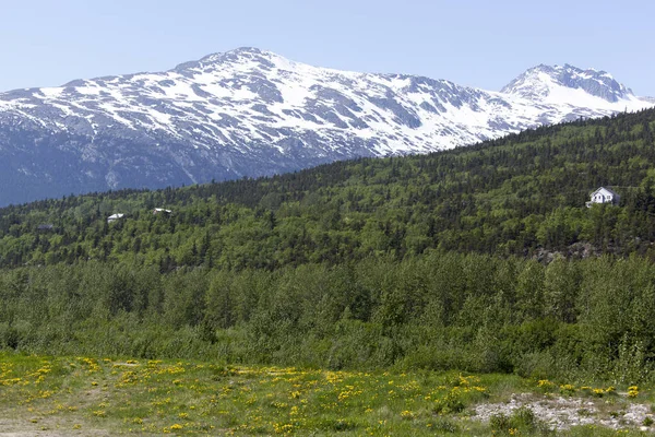 Malebný Pohled Jarní Skagway Město Hornaté Krajině Aljaška — Stock fotografie