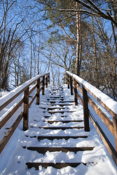 Ahşap Merdiven Litvanya Ormandaki Kar Altında — Stok fotoğraf