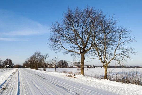 Estrada Rural Sob Neve Uma Manhã Fria Inverno Lituânia — Fotografia de Stock