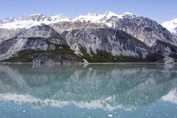 Vista Panoramica Della Baia Del Ghiacciaio Acque Calme Primavera Alaska — Foto Stock