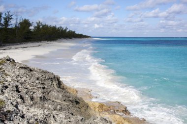 Vahşi boş sahilde ıssız ada Half Moon Cay (Bahamalar).