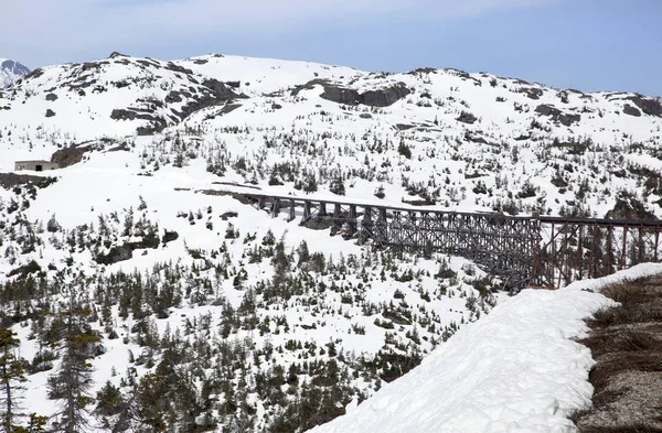 Vista Ponte Abbandonato White Pass Vicino Confine Del Canada Alaska — Foto Stock