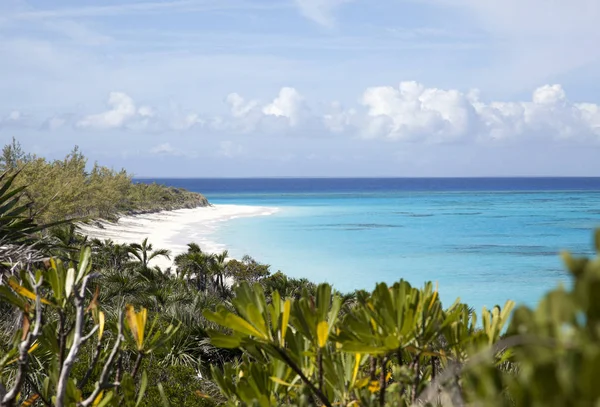 Vista Panorâmica Paisagem Desabitada Ilha Half Moon Cay Bahamas — Fotografia de Stock