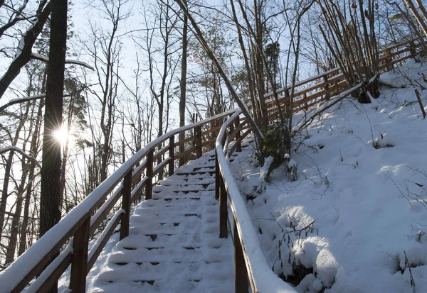 The wooden stairs under the snow in Valley of Junipers park in late afternoon sunlight (Lithuania).