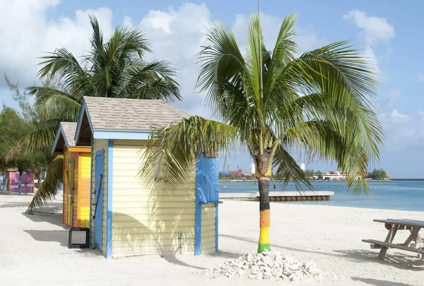 Pequenas Palmeiras Cabines Coloridas Praia Cidade Nassau Bahamas — Fotografia de Stock