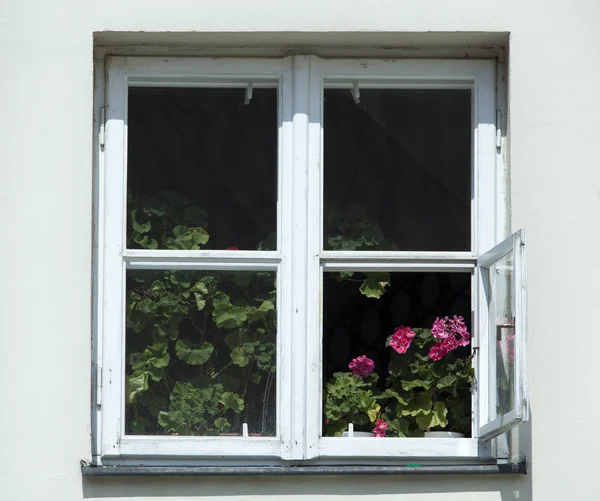Die Abstrakte Ansicht Eines Offenen Fensters Mit Blumen Der Warschauer — Stockfoto