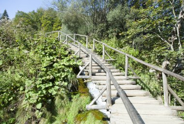 Plitvice Gölleri Milli Parkı (Hırvatistan küçük şelale üzerinde ahşap patika).