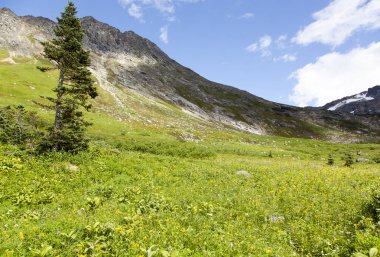 Üst Dewey göl etrafında peyzaj 950 metre deniz seviyesinden (Skagway, Alaska).