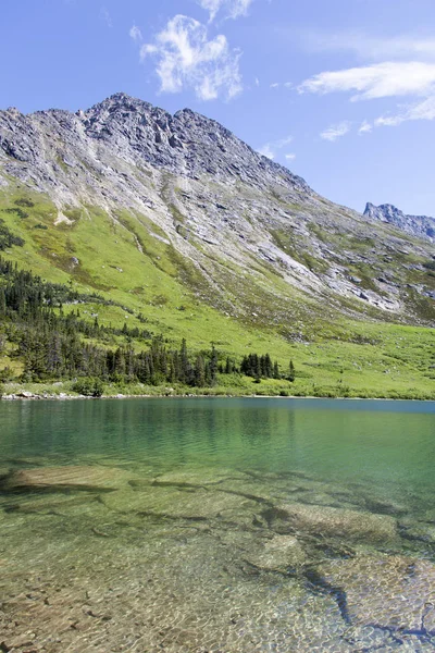 Kristal Berraklığında Suları 950 Metre Deniz Seviyesinden Skagway Alaska Üst — Stok fotoğraf