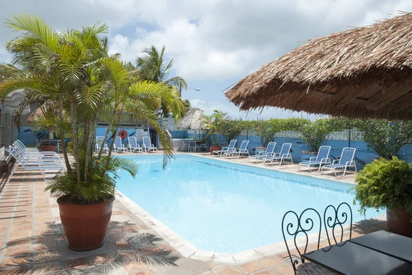Empty Pool Surrounded Tropical Greenery Belize City Belize — Stock Photo, Image