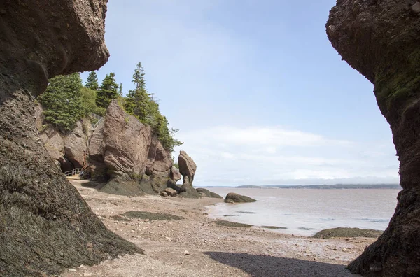 Hopewell Rocks Park Beach — Stok fotoğraf