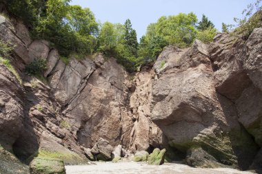 Hopewell Rocks Park Manzara
